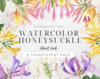 Watercolor Honeysuckle Clipart, June Birth Flower, Botanical Summer Florals, Digital Crafting Images, Junk Journal, Commercial Use | CC016