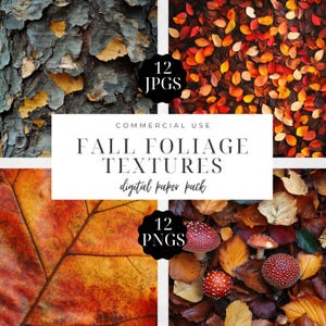 May include: A digital paper pack with 12 JPG and 12 PNG images of fall foliage textures. The images include close-ups of tree bark, fallen leaves, and mushrooms.