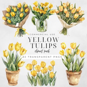 Gelbe Tulpen Aquarell Clipart, Floral PNGs Bundle, illustrierte Blumen, Hochzeitseinladung, Tulpenstrauß, April Geburtsblume | CC007