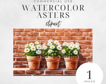 Watercolor Aster Clipart, Fall Flower, Botanical JPG, Birthday Clip Art, September Birth Flower, Floral Wall Art, Digital Craft | CC051