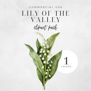 Clipart muguet, PNG aquarelle délicat, téléchargement numérique, illustration florale, graphique de mariage, fleur de naissance de mai | CC001