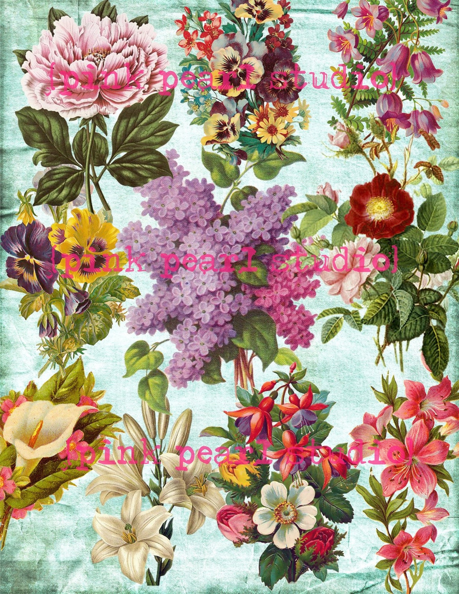 Spring Floral Flowers Digital Collage Clipart Sheet Etsy