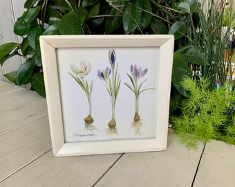 Crocus by Marjolein Bastin Vintage Framed Picture