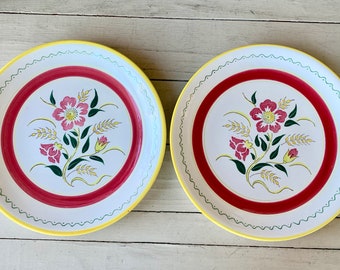 Two Vintage Japan Handpainted Flowers and Wheat Dinner Plates