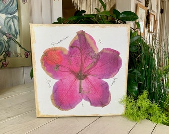 Rhododendron Photo Canvas Wall Hanging Vintage Flower Picture