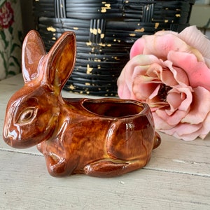 May include: A brown ceramic rabbit planter with a glazed finish. The planter has a small opening on the top for planting.