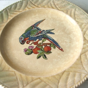 May include: A vintage ceramic plate with a green and white leafy border. The center of the plate features a blue and green parrot with red accents perched on a branch with red apples and pink flowers.
