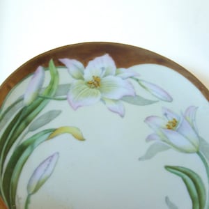 Antique Hand Painted Bavarian Fine China Collectors Plate