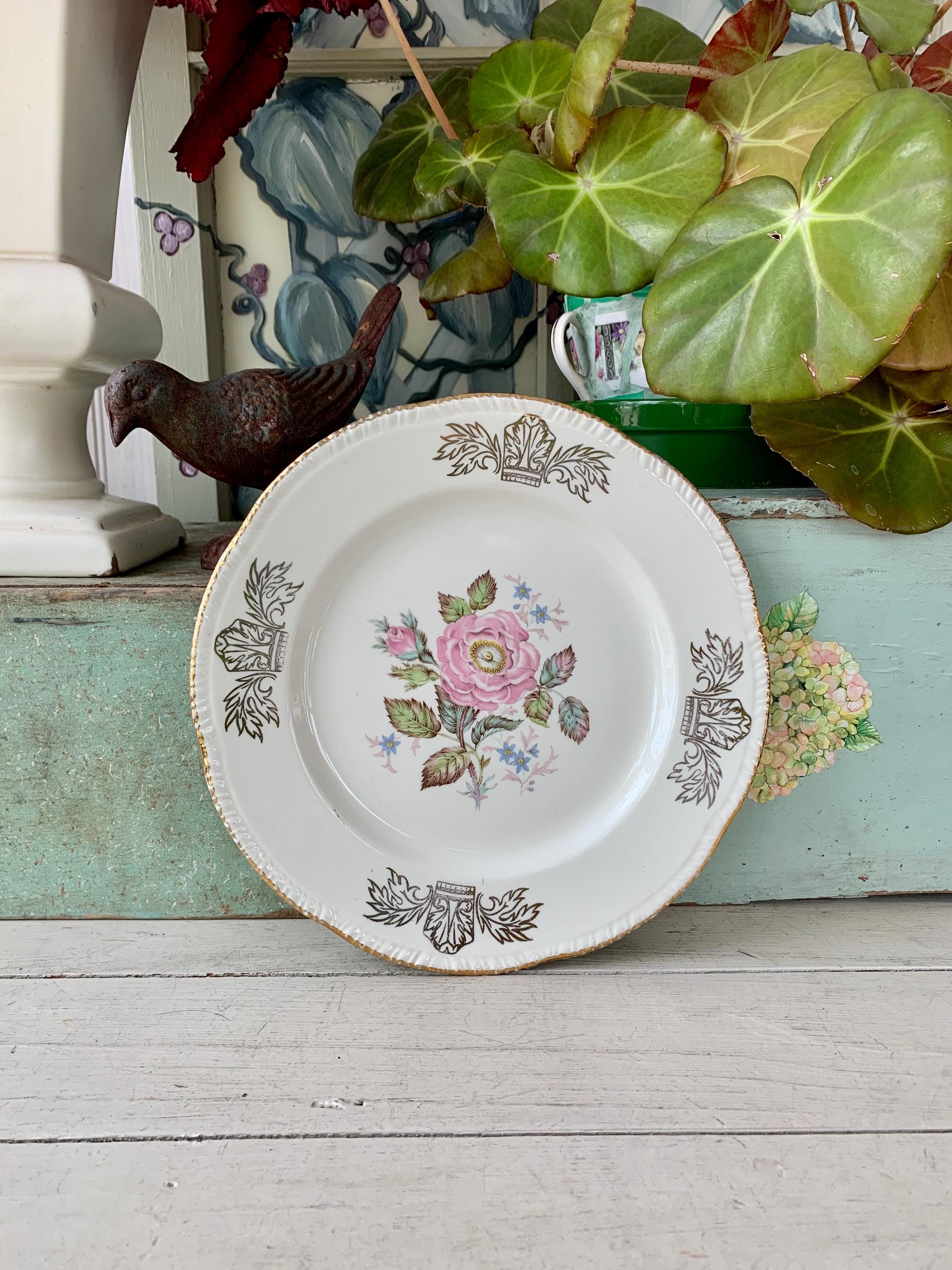 Homer Laughlin Wild Rose Plates - Etsy