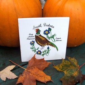 May include: A white ceramic tile with the words "South Dakota" printed in black. The tile features a colorful illustration of a ring-necked pheasant with blue pasque flowers. The tile is surrounded by two large orange pumpkins.
