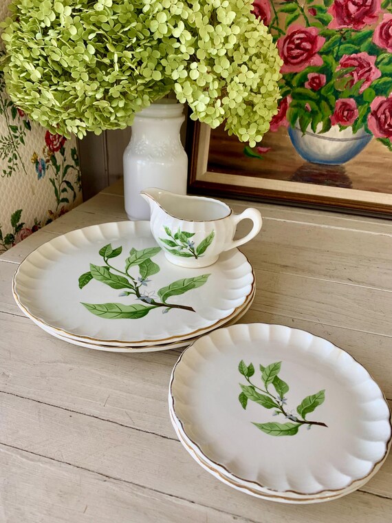 5 Pc Vintage W S George Dinnerware Bolero Orange Blossom Green