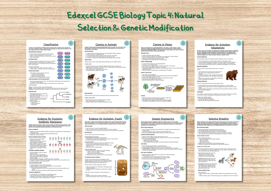 GCSE Biology Revision Notes Edexcel: Topic 4 Natural Selection and ...