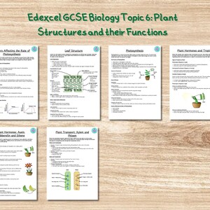 May include: A collection of educational biology notes on plant structures and functions. The notes cover topics such as photosynthesis, leaf structure, and plant hormones. The title "Edexcel GCSE Biology Topic 6" is displayed at the top.