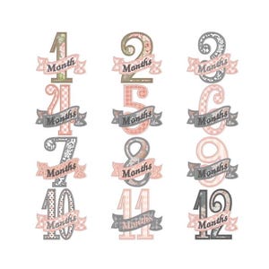 Könnte beinhalten: Zwölf dekorative Stoffzahlen mit rosa und grauen Blumenmustern und Bändern, auf denen "Monate" steht, für ein monatliches Fotoshooting eines Babys.