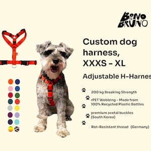 Custom Webbing Dog Harness Tomato. Adjustable Dog Harness. Luxury Dog Harness for a Puppy. Stronger than Biothane & Leather Dog Harness