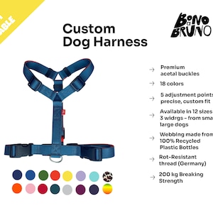 Custom Dog Harness Steel Blue.Cute Dog Harness. Medium Dog Harness. Better than Biothane Dog Harness. Stronger than Leather Dog Gear Premium