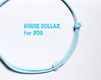 Adjustable Dog House Collar Baby Blue. Tag Collar. Thin Collar. Custom Dog Collar. Handcrafted Paracord Dog Collar. Small Dog Collar