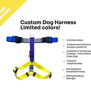 Handcrafted Dog Harness Limited Edition. Dog Gear. Dog Walking Gear. Large Dog Gear. Custom Dog Harness. Better than Leather Dog Gear