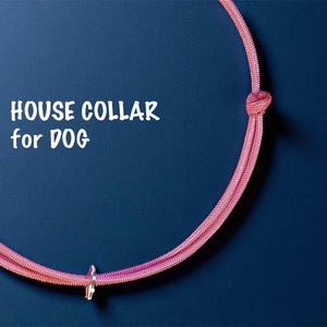 Peut inclure: Collier rose pour chien avec un anneau métallique et un nœud, sur fond bleu foncé. Le texte blanc indique "HOUSE COLLAR for DOG". Ce collier est conçu pour les chiens.