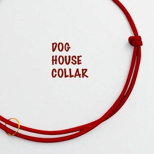 Collar ajustable para perro rojo. Collar con placa. Collar personalizado. Collar de paracord artesanal. Collar pequeño. Regalo para amantes de los perros. Collar bonito.