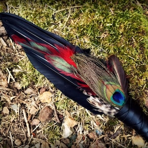 Rare Raven Peacock Owl Red Phoenix Smudge Fan. Crow Smudge Fan. Ceremonial Smudge Fan. Red Feather Smudge Fan.