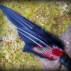 NEW YEAR SALE! Rare Raven Red Phoenix Smudge Fan. Crow Pheasant Smudge Fan. Ceremonial Smudge Fan. Red Feather Smudge Fan. Cruelty Free Fan.