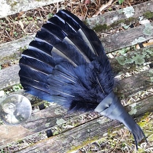 20 Feather Extra Large Crow Raven Smudge Fan. Smudge Feather. Raven. Crow. Feather. Crow Feather Fan Black Raven Fan Crow Fan Feather Smudge