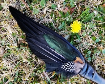 SPRING SALE Smudge Fan. Smudge Feather. Raven. Crow. Feather. Crow Feather Fan. Black. Raven Fan. Crow Fan. Feather for Smudge. Native.