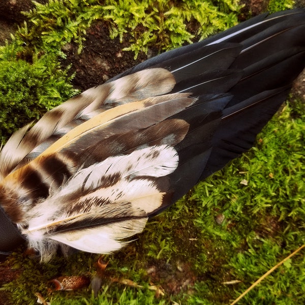 Smudge Fan. Owl Crow Raven. Smudge Feather. Feather. Crow Owl Feather Fan. Black. Raven Fan. Crow Fan. Feather for Smudge. Native American