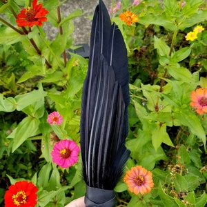 SPRING SALE Smudge Fan. Smudge Feather. Raven. Crow. Feather. Crow Feather Fan. Black. Raven Fan. Crow Fan. Feather for Smudge. Native. image 3