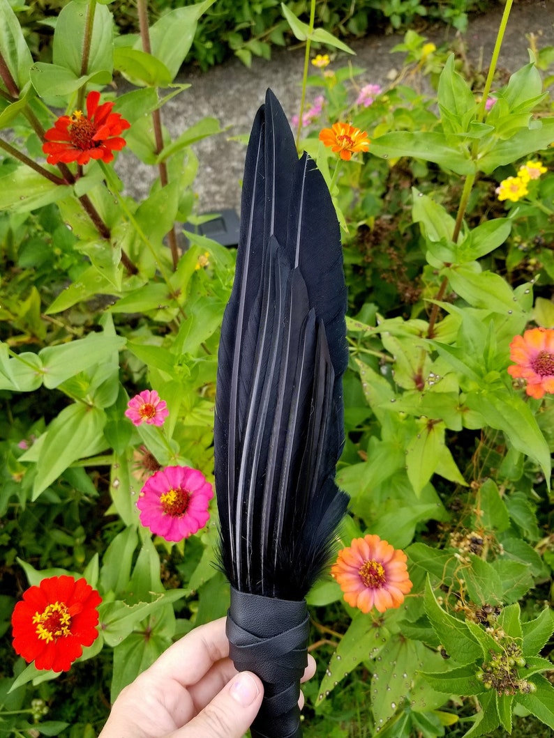 SPRING SALE Smudge Fan. Smudge Feather. Raven. Crow. Feather. Crow Feather Fan. Black. Raven Fan. Crow Fan. Feather for Smudge. Native. image 3