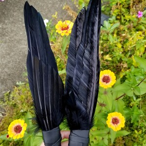 SPRING SALE Smudge Fan. Smudge Feather. Raven. Crow. Feather. Crow Feather Fan. Black. Raven Fan. Crow Fan. Feather for Smudge. Native. image 6