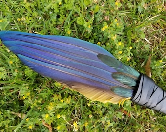 Smudge Fan. Rare Blue and Yellow Macaw. One of a Kind. Smudge Feather. Feather. Parrot Feather Fan. Black. Parrot Fan. Feather for Smudge.