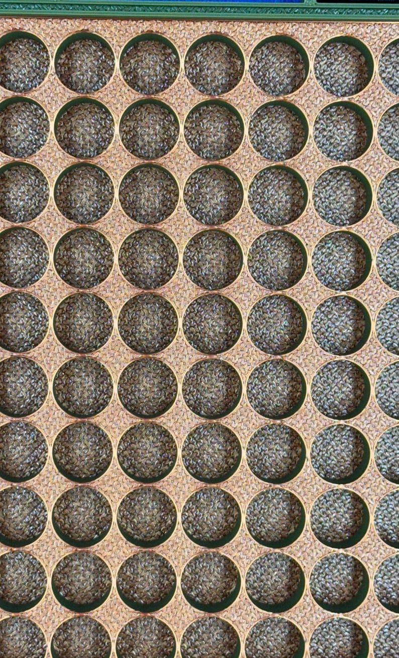 K&ouml;nnte beinhalten: Nahaufnahme eines braunen und gr&uuml;nen wabenartigen Gitters mit vielen runden L&ouml;chern. Die L&ouml;cher sind mit einem hellbraunen Material gef&uuml;llt.