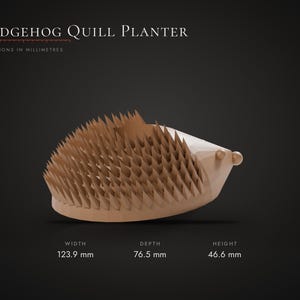 Puede incluir: Una maceta con forma de erizo de color marr&oacute;n claro con un dorso texturizado de p&uacute;as. Texto: Hedgehog Quill Planter. Dimensiones en mil&iacute;metros: ancho 123,9 mm, profundidad 76,5 mm, altura 46,6 mm. Tiene un hocico puntiagudo y ojos peque&ntilde;os.