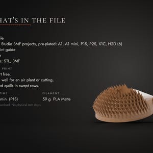 Puede incluir: Un archivo imprimible en 3D para una maceta con forma de erizo con p&uacute;as esculpidas en filas y un hueco de 30 mm para una planta a&eacute;rea. El texto dice: WHAT'S IN THE FILE, 1 STL file, Bambu Studio 3MF projects, PDF print guide, License, Formats: STL, 3MF, Tested print, Support free, 30 mm well for an air plant or cutting, Sculpted quills in swept rows, Print time 2 h 17 min (P1S), Filament 59 g PLA Matte.