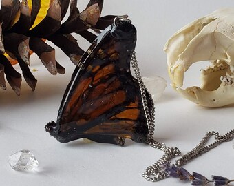 Ethically Sourced Real Monarch Butterfly Necklace