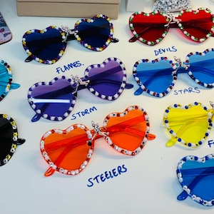 EIHL Ice Hockey fan-glasses.