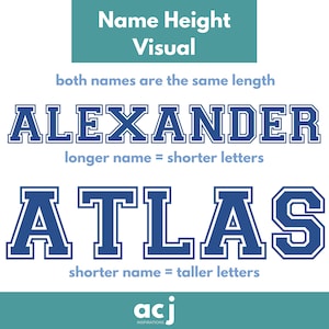Custom Name Decal Camp Trunk Label Storage Organization Label Personalized Kids Camp Back to School Dorm Room Essential Dress Up Trunk bild 3