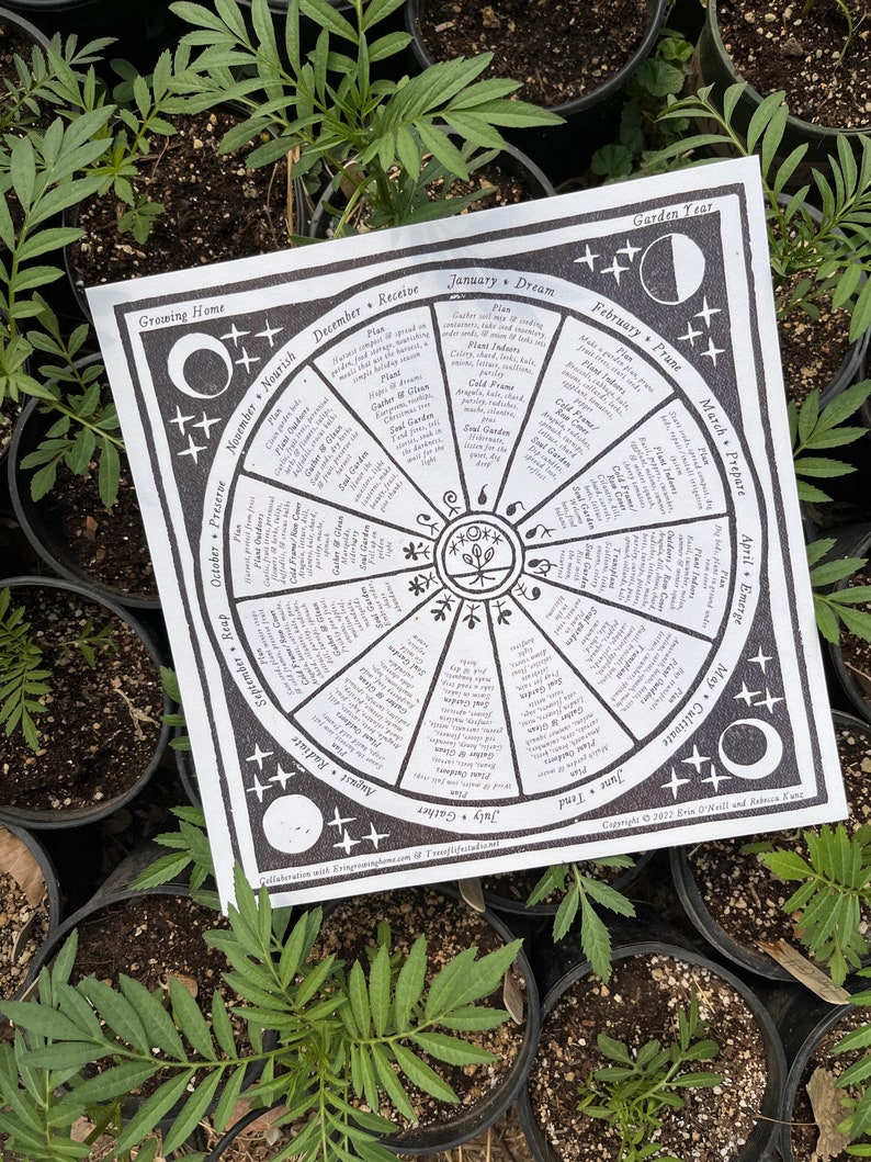 Puede incluir: Un diagrama circular en blanco y negro con un dise&ntilde;o de luna y estrellas. El diagrama est&aacute; dividido en 12 secciones, cada una representando un mes del a&ntilde;o. Cada secci&oacute;n incluye una lista de tareas de jardiner&iacute;a para ese mes, como plantar, podar y cosechar. El diagrama se titula "A&ntilde;o del jard&iacute;n".