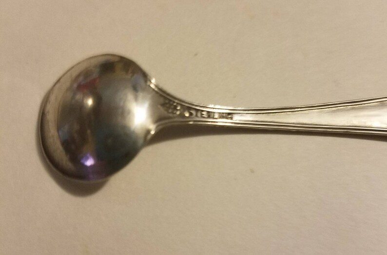Antique Salt Spoon ster Company 1894 1950 No Monogram Sweet Etsy