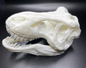 May include: A white 3D printed dinosaur skull. The skull is detailed and realistic, with visible teeth and eye sockets.