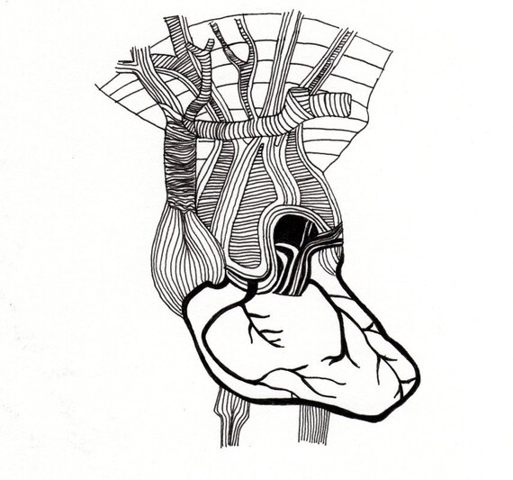 Items similar to Human Heart (art print) on Etsy