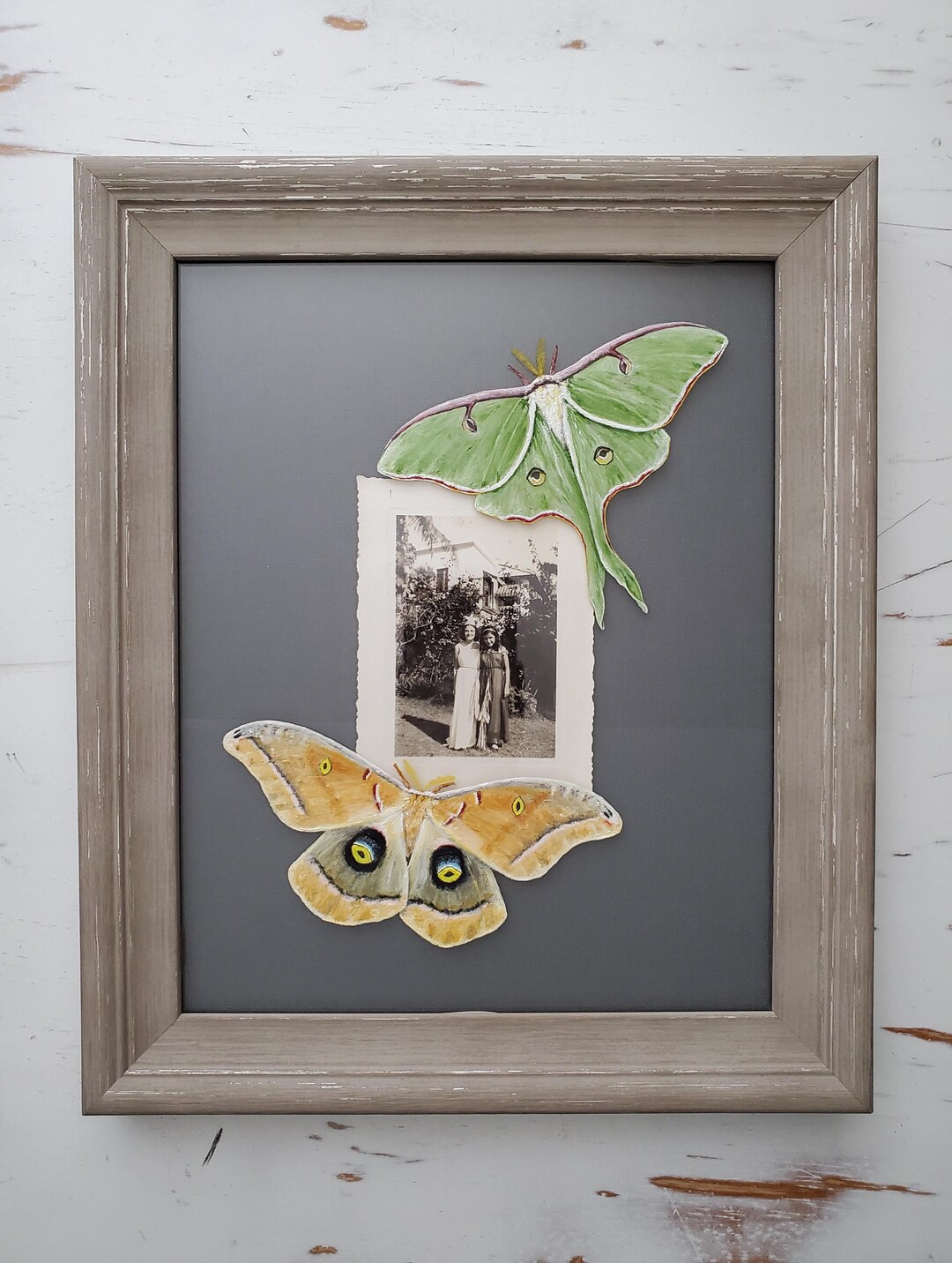 Moth Painting | Framed Original Art | Luna Moth | Polyphemus Moth ...