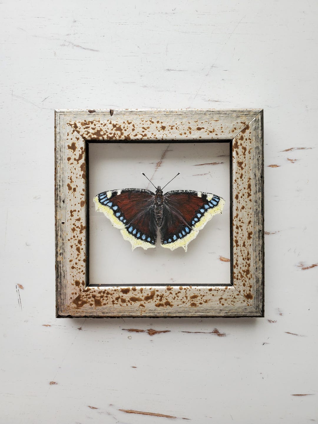 Butterfly Painting | Framed Original Art | Mourning Cloak - Etsy