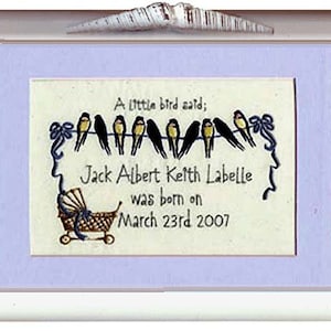 SINGLE BIRTH SAMPLER 3  Machine embroidery Design