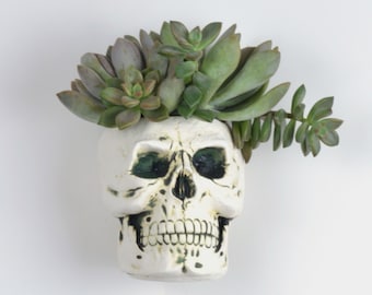 Fun Clay skull bud vase/wall sculpture Day of the Dead , Halloween air plant holder, el dia de los muertos, ceramic wall decor for flowers