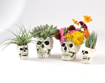 Whimsical Clay Skull Mini bud vase, Day of the Dead bud vase air plant holder, Halloween wall vase