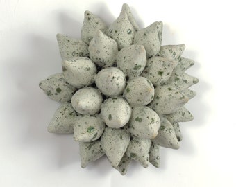 Ceramic Botanical Seed pod Succulent wall sculpture, Wall Tile Barnacle