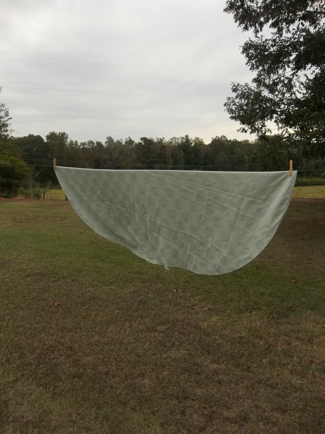 Vintage Sage Green Tablecloth 56 X 70 Oval Tablecloth Picnic Etsy